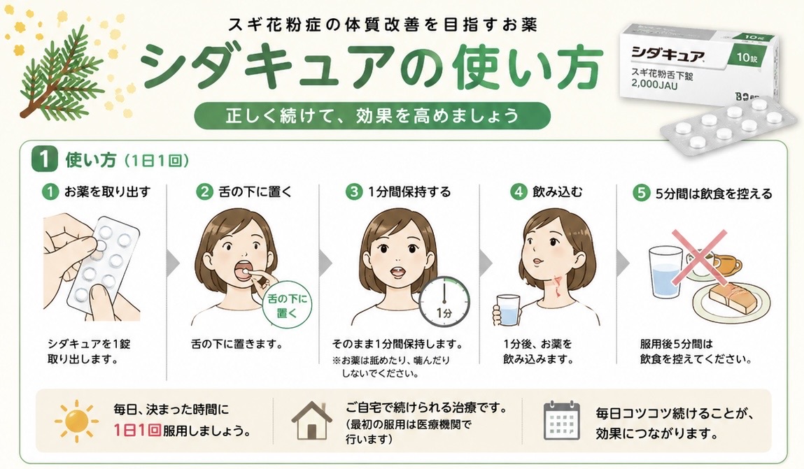 つらいスギ花粉症に！「シダキュア」という治療をご存じですか？