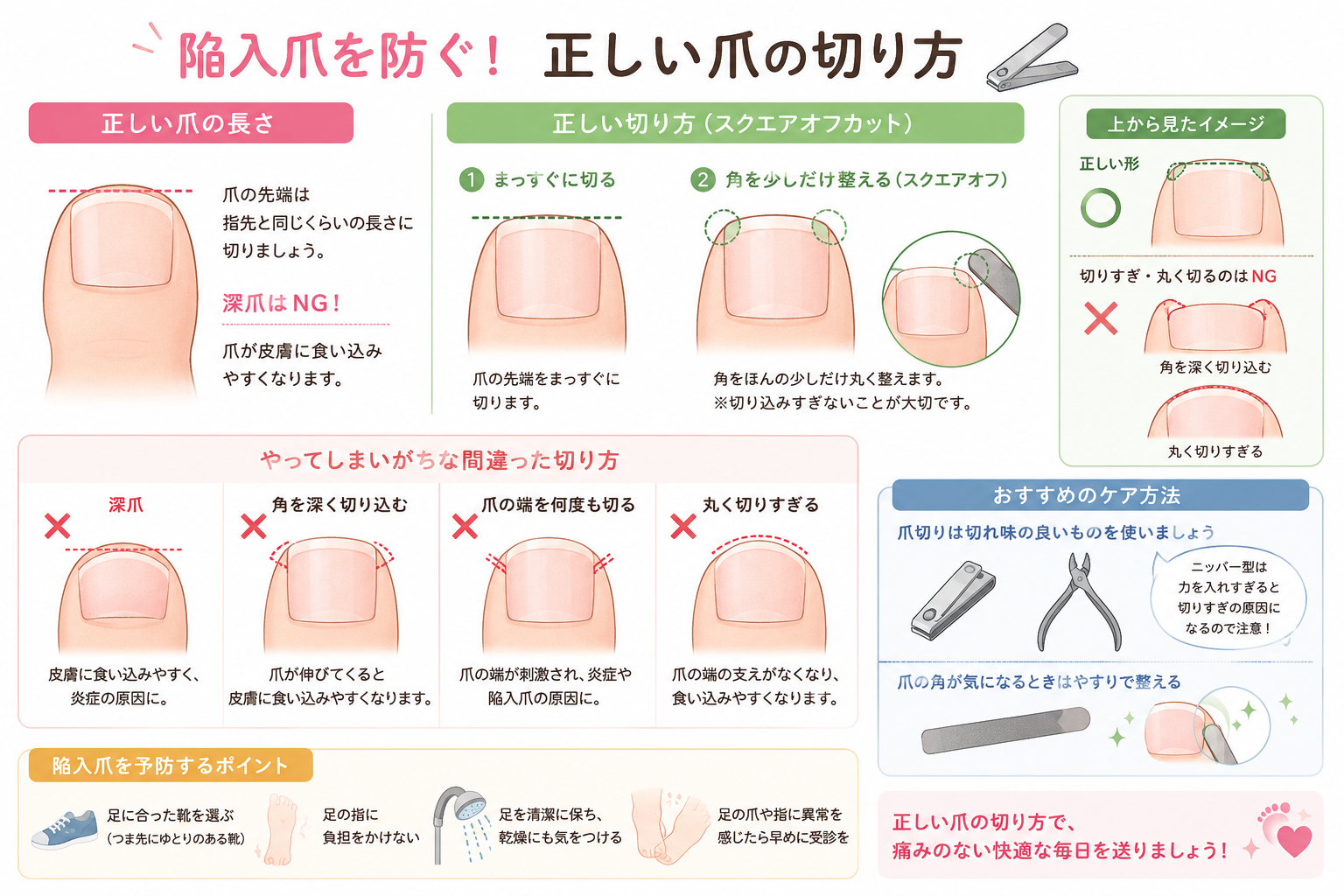 🦶陥入爪を防ぐ！正しい爪の切り方✂️